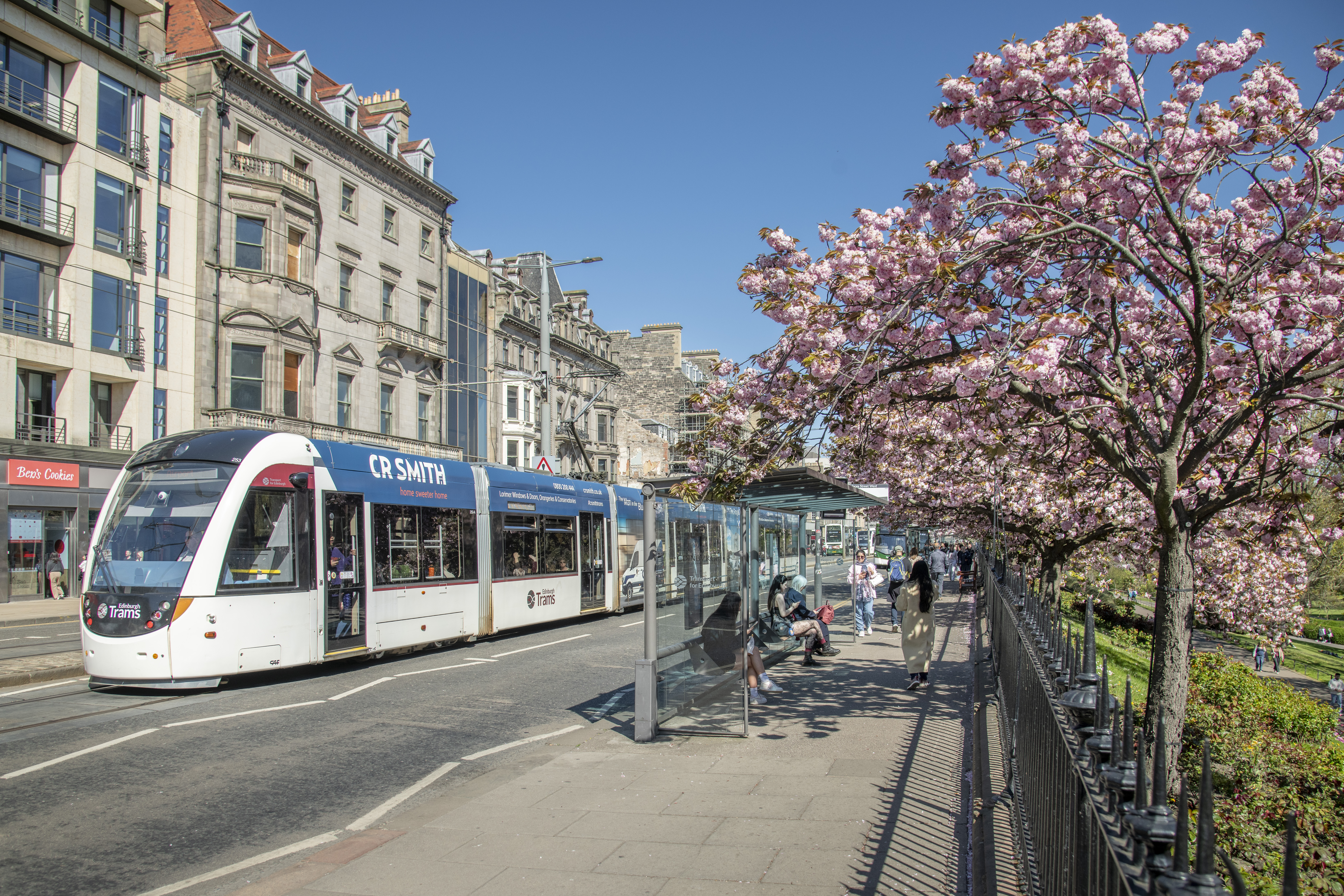 Tram on Princes Street with cherry blossom trees in foreground