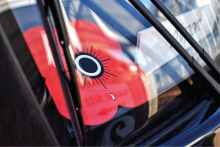 Edinburgh Trams window with a poppy 