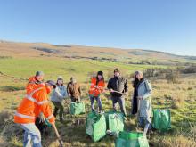 the tram team with their trees