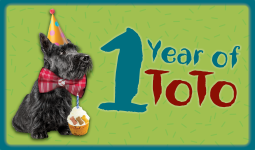 TOTO the dog wearing a party hat and a birthday cake beside him. text reads: '1 year of TOTO'