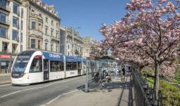 Tram on Princes Street with cherry blossom trees in foreground