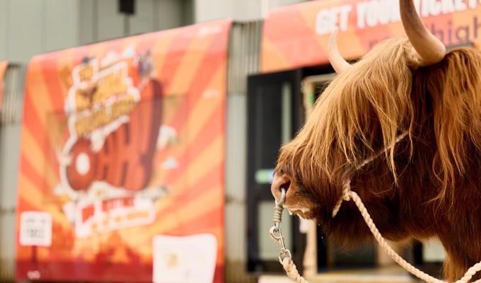 a highland cow stands in front of a wrapped tram