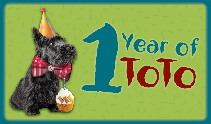 TOTO the dog wearing a party hat and a birthday cake beside him. text reads: '1 year of TOTO'