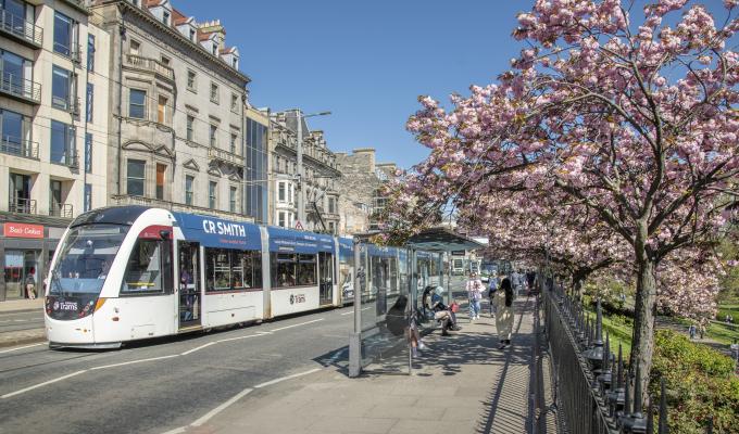 Tram on Princes Street with cherry blossom trees in foreground