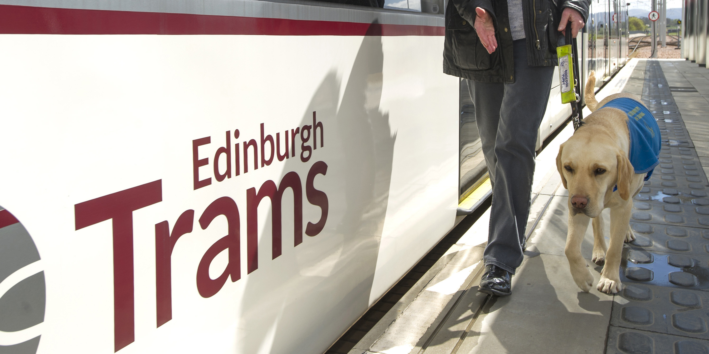 Guide Dogs Scotland puppy training and familiarisation visit